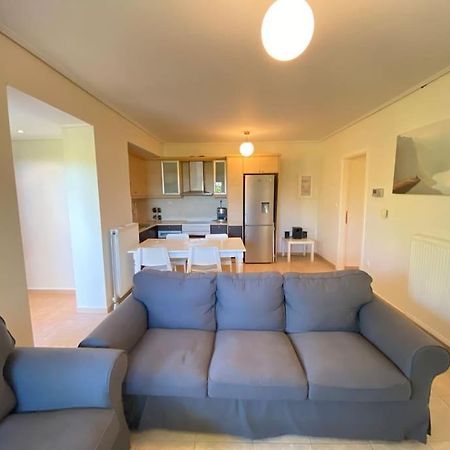 Cozy 2 Room Apartment With Garden Near Athens Air-Port Artemida  Ngoại thất bức ảnh